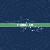 67年羊是什么命，67年属羊女寿命多长