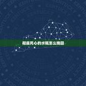 彻底死心的水瓶怎么挽回，怎么挽回水瓶男