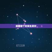属猪哪个时辰生更好，哪些时辰出生属猪上等命