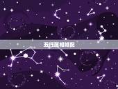 五行属相婚配，五行命相属相婚配
