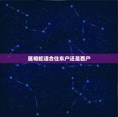 属相蛇适合住东户还是西户，夫妇都属蛇买楼东户好还是西户好
