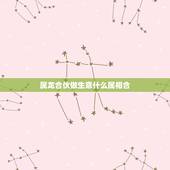 属龙合伙做生意什么属相合，属龙的和属兔的能不能合伙做生意