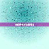 哪种属相婚配最适合，什么属相配属相最好