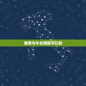 猪男与牛女婚配可以吗，女属猪和男属牛配吗？