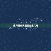 生肖属虎男最怕出生几月，千万不要娶属狗女人