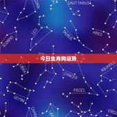 今日生肖狗运势，十二生肖今日运势
