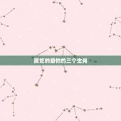 属蛇的最怕的三个生肖，属蛇最不和的属相 属蛇的最怕什么生肖