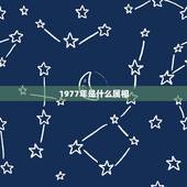 1977年是什么属相，1977年属什么生肖？