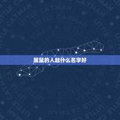 属鼠的人起什么名字好，属鼠水命起公司名字