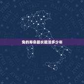 兔的寿命最长能活多少年，兔子临死前征兆