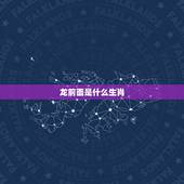 龙前面是什么生肖，鼠后面是什么生肖