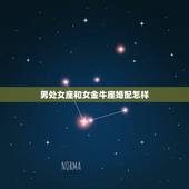 男处女座和女金牛座婚配怎样，处女座的女生和金牛座的男生配吗