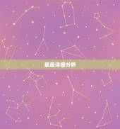 星盘详细分析，星盘分析