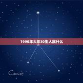 1990年大年30生人属什么，请问：1990年出生的人属相是什么？