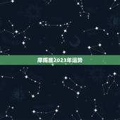 摩羯座2023年运势，摩羯座2021年运势