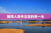 属鸡人命中注定的另一半，属鸡一生注定几个情人