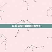 2022年今日偏财最旺的生肖，2022年走大运的生肖