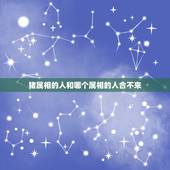 猪属相的人和哪个属相的人合不来，属猪的人和什么属相的人最合得来匿名