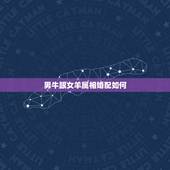男牛跟女羊属相婚配如何，男牛女羊的婚姻怎么改变命运