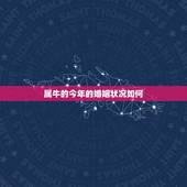 属牛的今年的婚姻状况如何，2022 年属牛人的全年运势