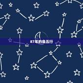87年的兔五行，87年的兔五行几月八败