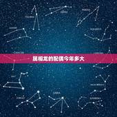 属相龙的配偶今年多大，属龙人的最佳配偶是十二属相的哪个生肖属相