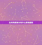 生肖狗属猪女和什么属相最配，属猪女与什么属相最相配