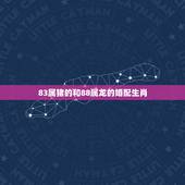 83属猪的和88属龙的婚配生肖，83年属猪女和88年属龙男配吗