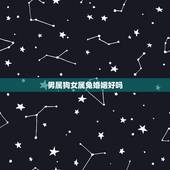 男属狗女属兔婚姻好吗，属兔女和属龙男的婚配好不好