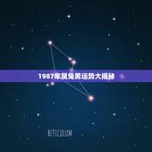 1987年属兔男运势大揭秘，87年属兔本历年运势