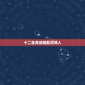 十二生肖结婚配对鸡人，12生肖婚姻配对生肖鸡与那些最配