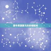 属牛男跟属马女的相配吗，属马和属牛的结婚好不好