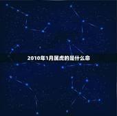 2010年1月属虎的是什么命，2010年11月17号属虎的什么命