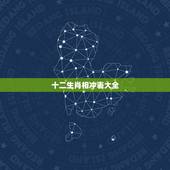 十二生肖相冲表大全，日历生肖相冲查询表