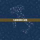 九根香看香火全图，怎样看香火