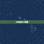 84鼠和87婚配，81年的鸡和84年的鼠相配吗