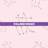 手机头像图片微信旺财，微信好运的头像怎么设置？