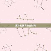 属牛和属马的合财吗，马和牛的结婚和财吗