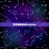 世界最美单词waldosia，帮我取个干净点的ID，纯文字简单点的，比
