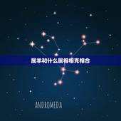 属羊和什么属相相克相合，属相羊和什么属相更佳