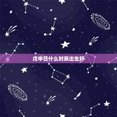 戊申日什么时辰出生好，戊申日食伤生财