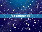 属牛女和属虎男合财吗，属牛和属虎八字不合怎么办