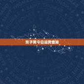 双子男今日运势查询，双子座今天运气如何