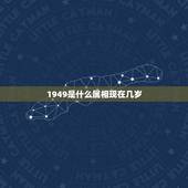 1949是什么属相现在几岁，1949年属牛生人寿命是多少岁