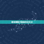 老米婚配大金金木水火土，顺历金木水火土相生相克婚配