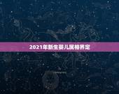2021年新生婴儿属相界定，2021年元旦出生的宝宝属什么生肖
