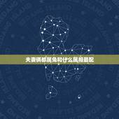 夫妻俩都属兔和什么属相最配，属兔和什么属相比较相配