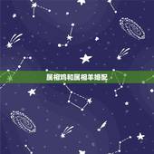 属相鸡和属相羊婚配，属相鸡和羊婚姻大相好不好