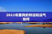 2022年属狗的财运和运气如何，属狗人未来十年运势预测