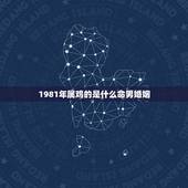 1981年属鸡的是什么命男婚姻，1981年属鸡男人的 整体性格，婚姻